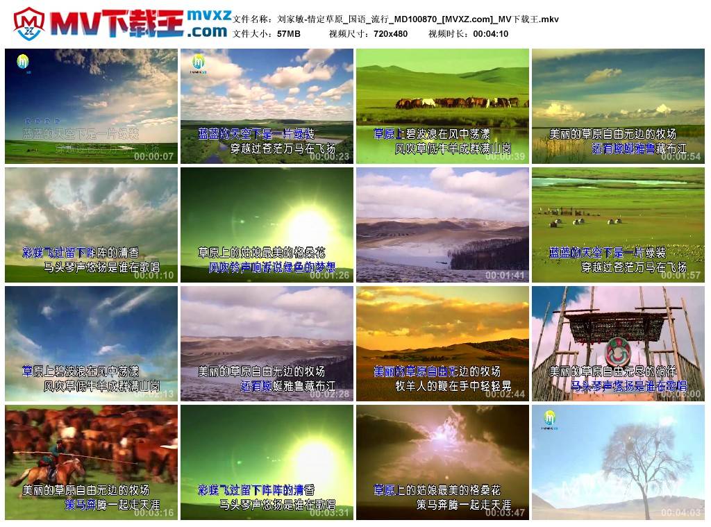 刘家敏-情定草原_国语_流行_MD100870